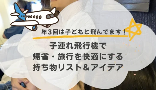 年3回は飛んでいるママの体験談付き｜子連れ飛行機で帰省・旅行を快適にする持ち物＆工夫